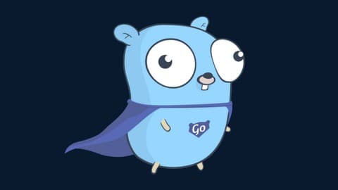 Análise completa do Aprenda Golang do Zero! Desenvolva uma APLICAÇÃO COMPLETA!